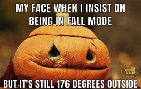 These Memes Are For All Of You Who Are Waiting For Fall Is It Fall Yet Memes