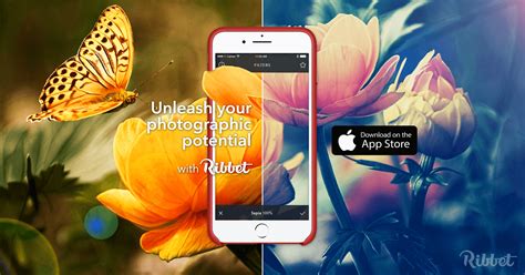 Ribbet Complete Photo Editing Feature List