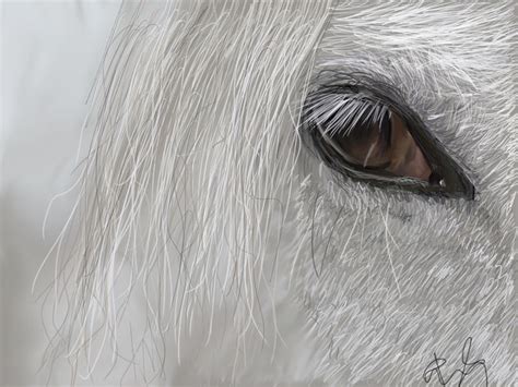 Horse Eye Painting By Flame1111 On Deviantart