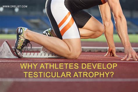 Why Athletes Develop Testicular Atrophy And How To Reverse It Blog