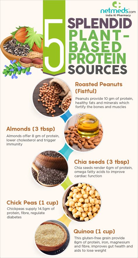Marvelous Plant Based Protein Sources For Overall Health Infographic