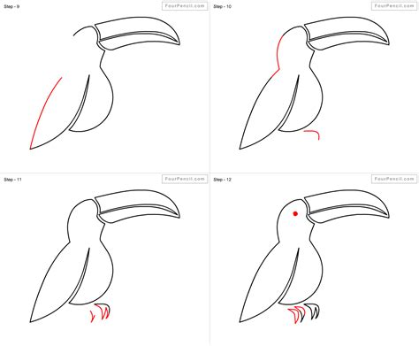 How To Draw Toucan For Kids Drawings Drawing For Kids Drawing