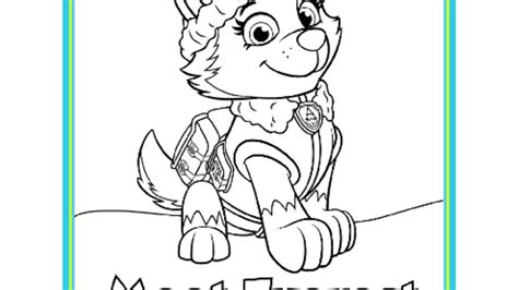 Just print for free in a4 format and start paw patrol is a favorite children's animated series. PAW Patrol|PAW Patrol Meet Everest Colouring Pack: Colouring Pages for Preschoolers