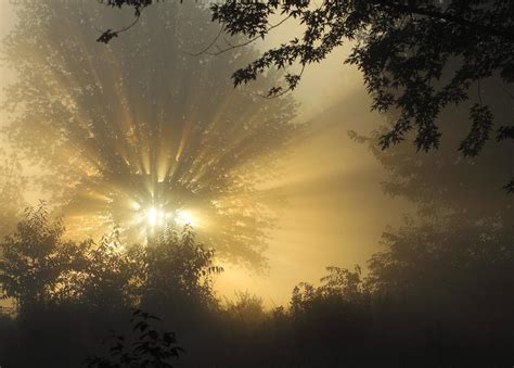 Early Morning Foggy Sunrise By Randy Steele