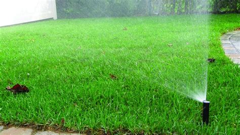 If you're searching for the best lawn fertilization service near me, your search ends with massey's greenup and weed control program. irrigation system watering lawn | Lawn sprinkler system, Lawn irrigation, Lawn sprinklers