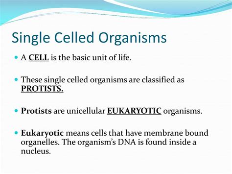 Ppt Structures And Functions Of Living Organisms Powerpoint