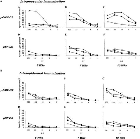 Cytotoxic T Lymphocyte Activity Following A Intramuscular Or B Download Scientific Diagram