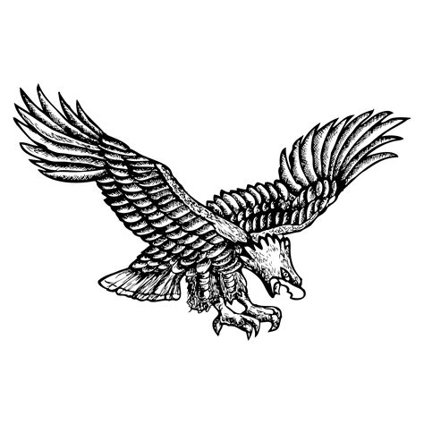 Free Hand Drawn Eagle Image