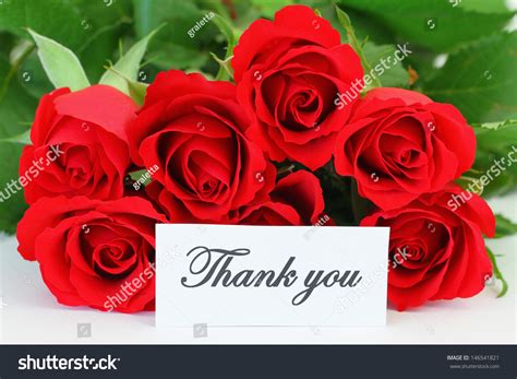 Thank You Card Red Roses Bouquet Stock Photo 146541821 Shutterstock