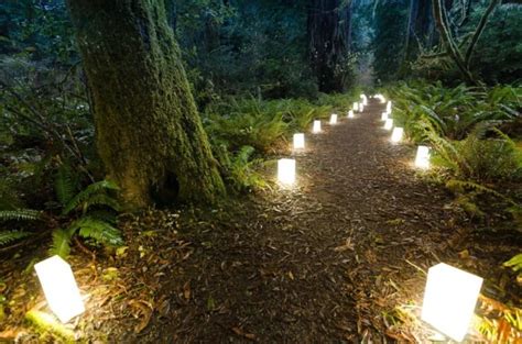 The Candlelight Walk Through The Northern California