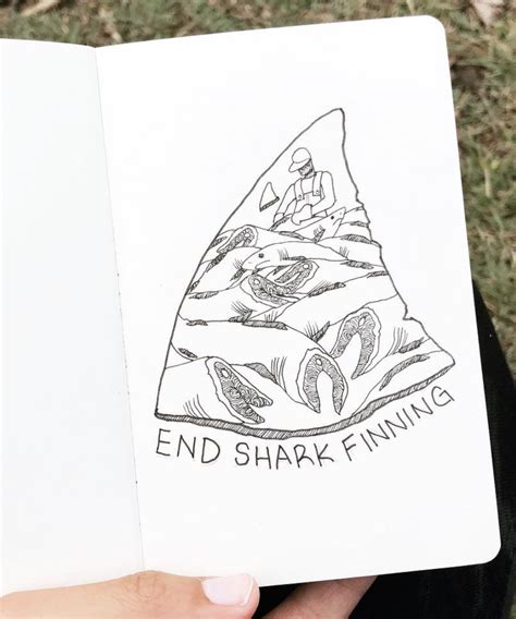 Shark Finning Is The Greatest Threat To Shark Populations Around The