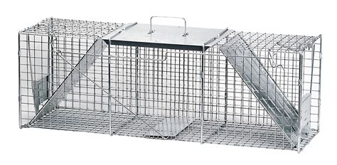 Most raccoons are not skittishwhen it comes to traps. Havahart Two-Door Raccoon Trap