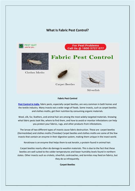 Fabric Pest Control By Pest Quit Issuu