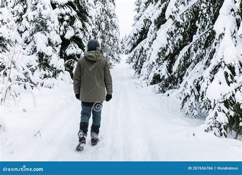 Man Walking On Snow Covered Forest Beautiful Winter Time Back View