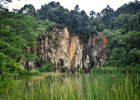 4 Nature Reserves In Singapore For Trails And Wildlife Honeykids Asia