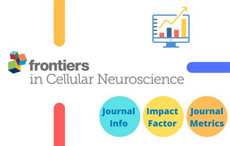 Frontiers In Cellular Neuroscience Impact Factor 2023 Journal Impact