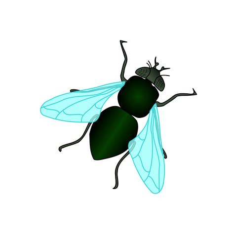 House Fly Clipart 20 Free Cliparts Download Images On Clipground 2024