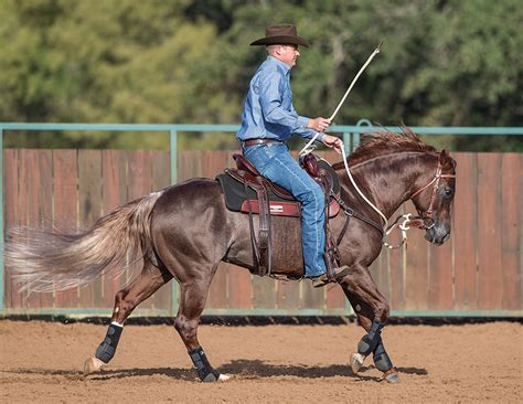 How To Reform A Bucking Horse Downunder