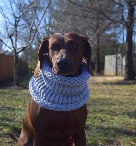 Infinity Dog Scarf Hand Knit Scarf Pet Neck Warmer Dog Etsy