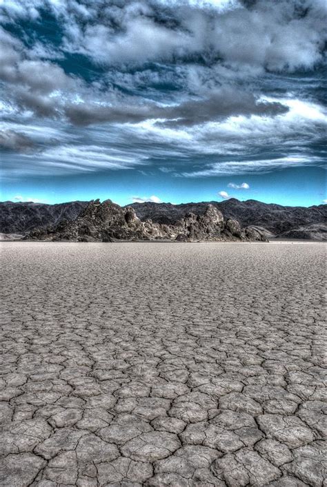 Cool Desert Photograph By David Andersen Fine Art America