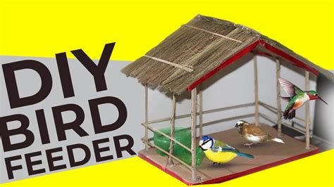 How To Make Birds House A Beautiful Shelter For Birds Diy Bird