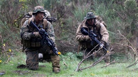 Reconnaissance Surveillance Patrol Hones Marines Readiness The