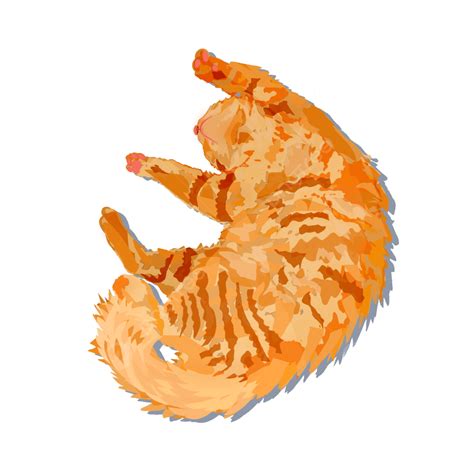 Orange Cat Hd Transparent Orange Cat Orange Cat Pet Png Image For