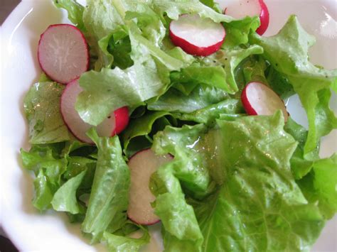 Loose Leaf Green Lettuce Salad With Apple Cider Vinegar Dressing