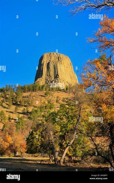 Devils Tower National Monument Devils Tower Wyoming Usa Stock Photo