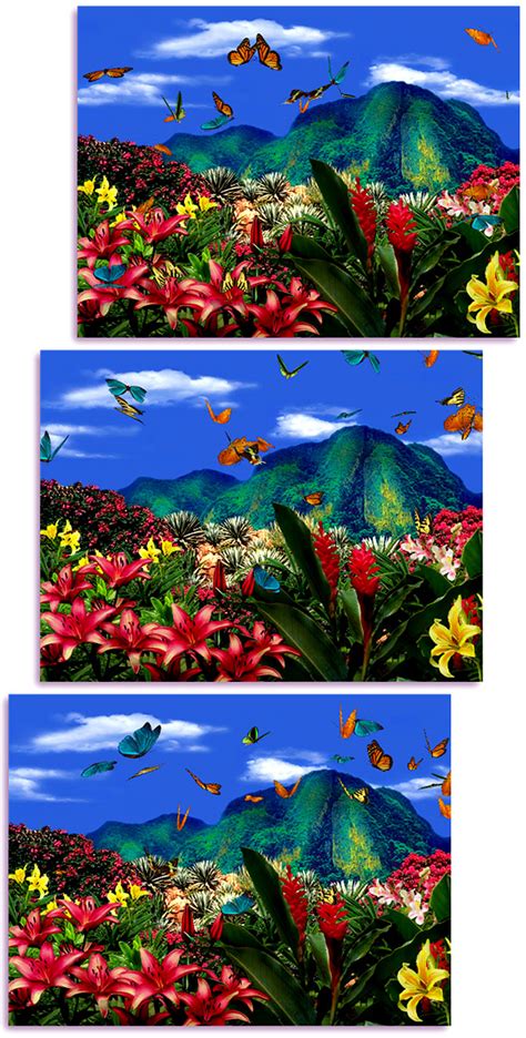 Living 3d Butterflies Screensaver Free Animated Screensaver