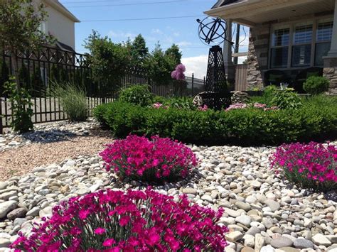 Low water landscaping landscaping plants front yard landscaping landscaping ideas landscaping melbourne drought resistant plants drought tolerant landscape drought resistant landscaping mexican feather grass. My front garden. No grass on this front lawn!! | How does your garden grow?? | Pinterest ...