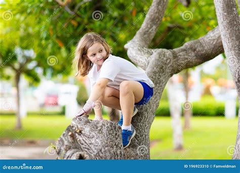 Kids Climb Tree In Summer Park Child Climbing Stock Photo Image Of