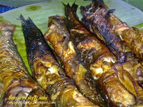 Check spelling or type a new query. suka main masak-masak: Ikan Sembilang Salai