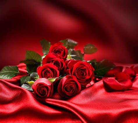 Roses Beautiful Flowers Love Red Romantic Silk Background Hd Wallpaper Peakpx