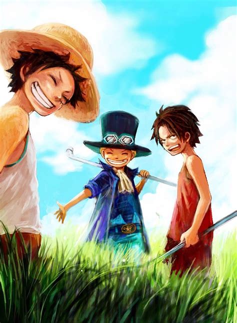We offer an extraordinary number of hd images that will instantly freshen up your. Ace, Sabo and Luffy | Anime Amino