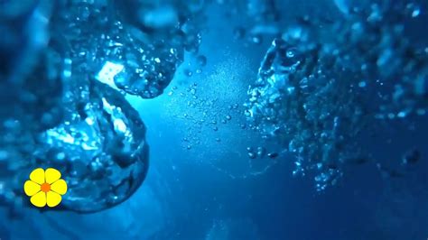 Underwater Real Bubble Sounds Water Bubbles Underwater Sounds Ambience Relax White Noise 5
