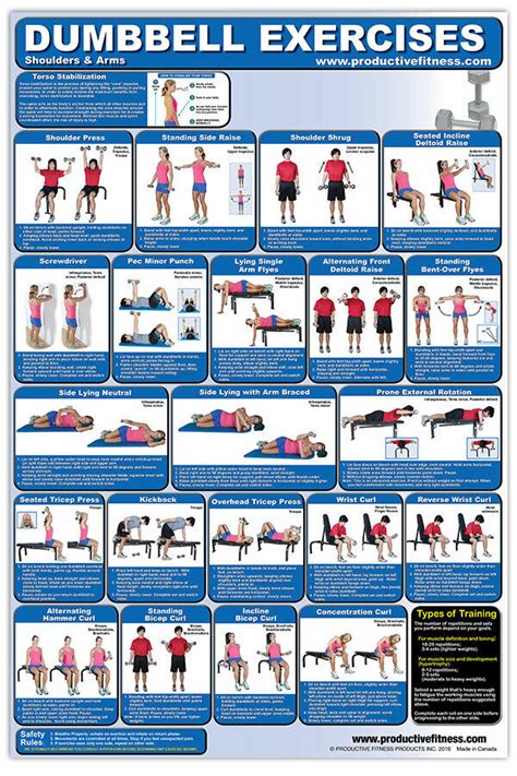 Dumbbell Exercises Workout Professional Fitness Gym Wall Charts 2