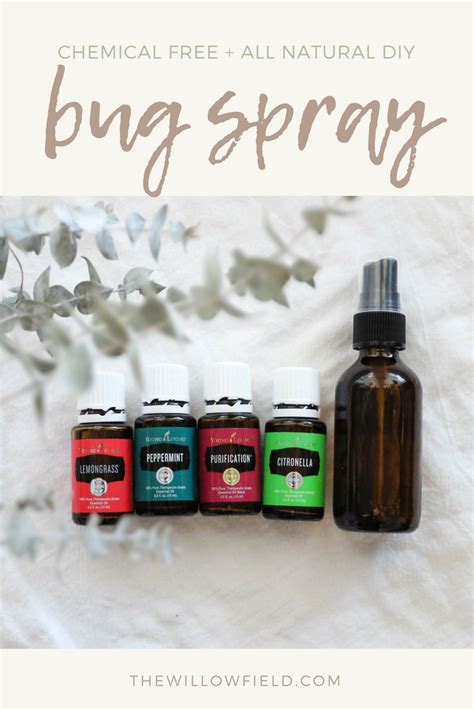 Chemical Free All Natural Diy Bug Spray — The Willow Field