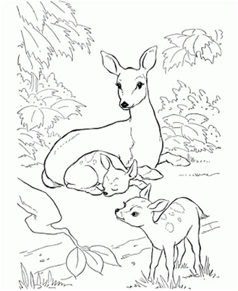 Perfect coloring book for adults and kids with incredible illustrations of rocky balboa for coloring and having fun Rocky Balboa Coloring Pages at GetColorings.com | Free ...