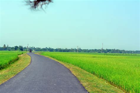 Natural Village Road