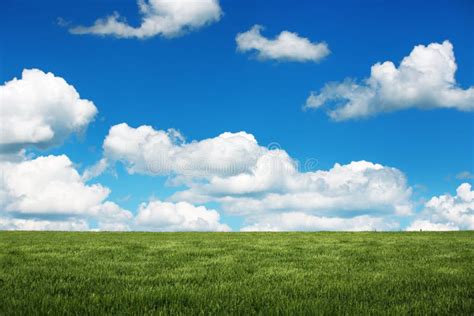 Fresh Green Grass And Fluffy Clouds Over The Field Stock Photo Image