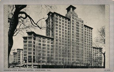 Edgewater Beach Hotel Chicago Il Postcard