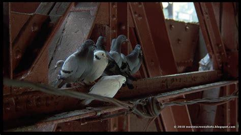 Vagebond S Movie Screenshots Birdy