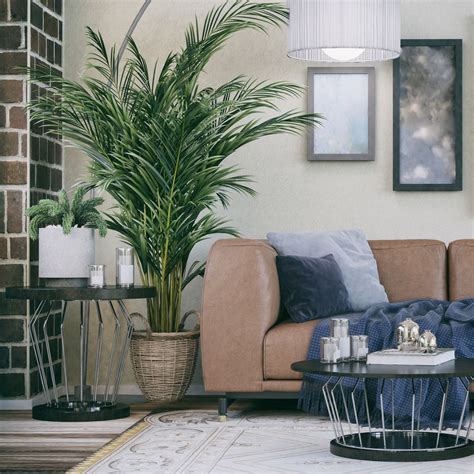 Tips For Arranging Plants In A Living Room Plants Wild