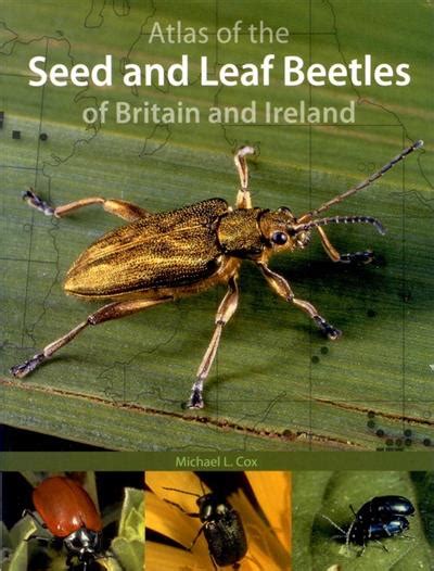 Atlas Of The Seed And Leaf Beetles Of Britain And Ireland Coleoptera