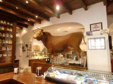 Vive el ambiente auténtico de la ciudad, disfruta de los productos de la tierra y antiguas recetas de nuestros pueblos. Foto de Casa Robles, Sevilla: entrada restaurante ...