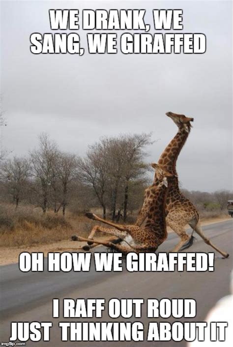Reminiscing Giraffe Imgflip