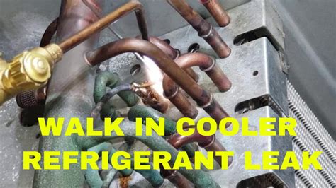 Walk In Cooler Refrigerant Leak Youtube