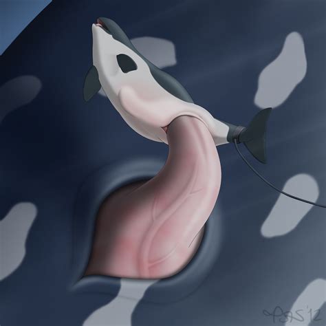 Rule 34 2012 Cetacean Closed Eyes Female Male Marine Orca Penetration Penis Pussy Sex Size