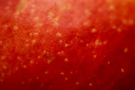 Red Apple Texture Stock Photos Pictures And Royalty Free Images Istock